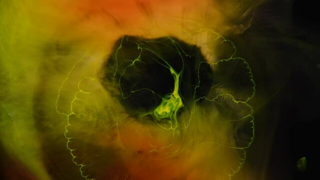 What the opthamologist saw when she looked inside my left eye.  She said it was nothing to worry about but that I should cut back on my mushrooms  -  an all natural AbstractVideoClip