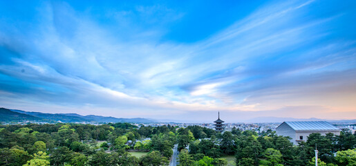 奈良県庁屋上広場からの興福寺 五重塔