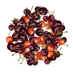 水彩のさくらんぼ（佐藤錦・アメリカンチェリー）の円埋めつくしフレームイラスト