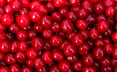 Abstract blurred fruit berry background - a scattering of ripe cherries
