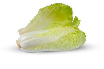 Chinese cabbage (Brassica rapa subsp. pekinensis) isolated on a white background