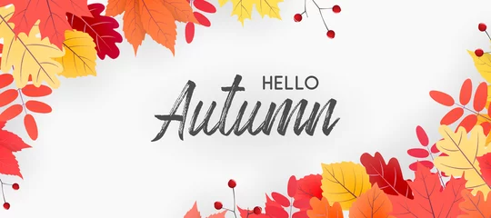 Foto op Canvas Hello autumn falling leaves. Autumnal foliage fall and poplar leaves. Autumn design. Templates for placards, banners, flyers, presentations, reports. © tutti_frutti