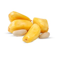 Jackfruit (Artocarpus heterophyllus) isolated on a white background
