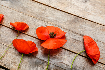 Beautiful red poppy flowers on wooden background