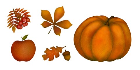 autumn textured orange pumpkin, rowan berries, apple, oak leaf, nut and chestnut hand-drawn digital illustration. Autumn vegetables set. Halloween.