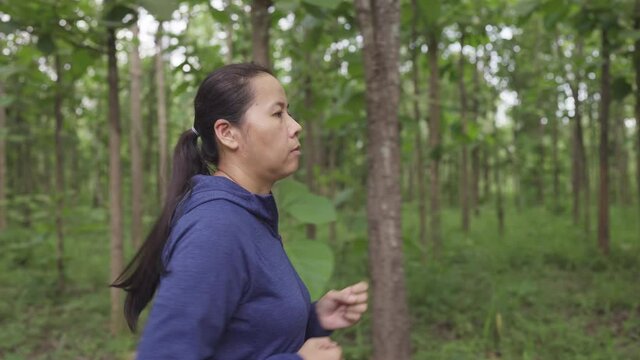 Side view of Asian women athlete exercise while running in a forest, Concept healthy runner and outdoor workout