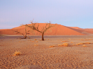 Fototapeta na wymiar Namibian Sandune