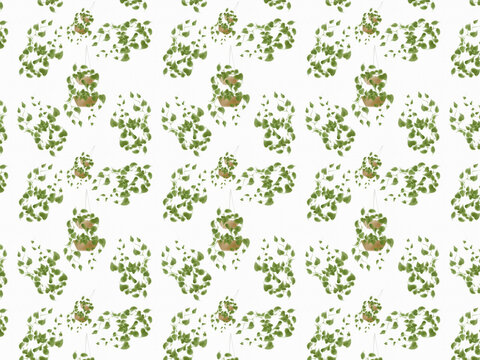 Pothos Plants illustration | Summer ornament pattern background design