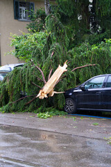 Damaged cars because of the nightly thunderstorm by shattered tree at city of Zurich. Photo taken July 13th, 2021, Zurich, Switzerland.
