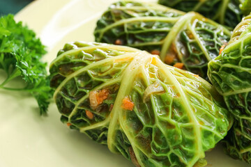 Plate with stuffed cabbage leaves, closeup