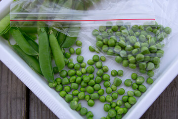 Green peas are in a bag on a white tray. Harvesting fresh vegetables from the garden. Close-up.