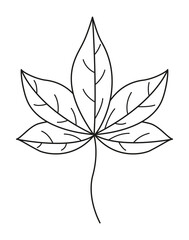 Leaf linear icon. Vector leaves logo. Black and white autumn leaf. Autumn leaves for your projects, illustrations, websites. 