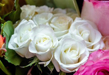 A bouquet of white roses close-up
