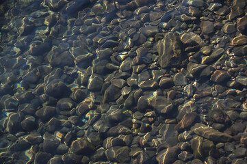 Fototapeta na wymiar 透明な川に小石