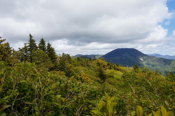 Gloomy landscape with coniferous forest, a lonely mountain, and autumn vibes