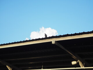 Train Station Thailand