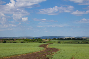 Fototapeta na wymiar Beautiful landscape in Russia. A beautiful landscape with a field and a winding dirt road.
