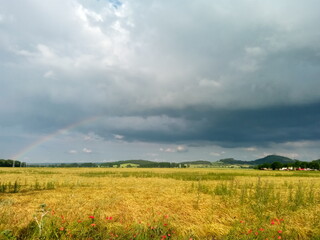 Fototapeta premium Feld und Wolken