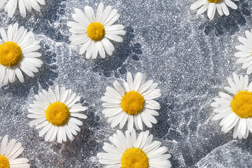 Obraz premium Summer background. Natural chamomile flowers and wave water on shining gray background. Top view Flat lay