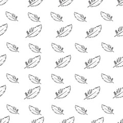 Vector white background tropical birds, parrots, macaw, exotic cockatoo birds feathers. Seamless pattern background