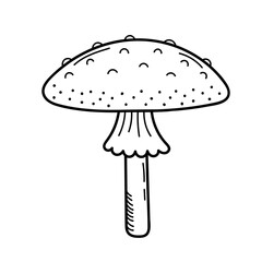 Cute mushroom in doodle style. Poisonous mushroom, fly agaric, toadstool. Vector isolated hand drawn illustration for coloring pages, sketch, outline