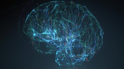 Digital model of the human brain. Brain scan technology concept. Neurosurgery diagnostic - Powered by Adobe
