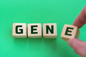 GENE word made with wooden blocks isolated on green background