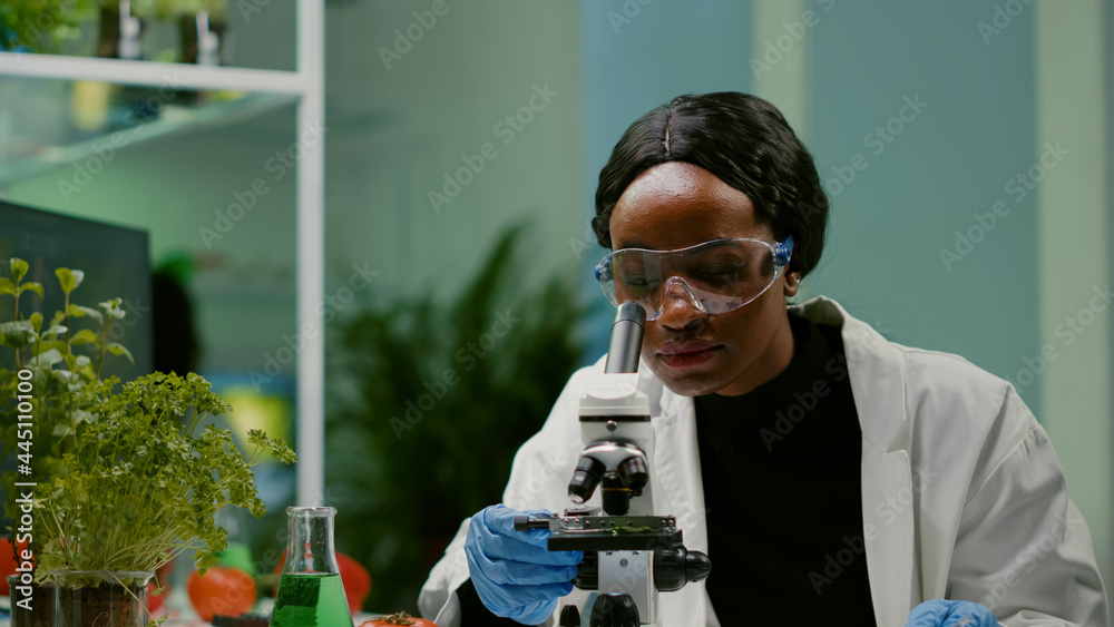 Wall mural portrait of scientist taking leaf sample with micropipette putting on slide under microscope for med