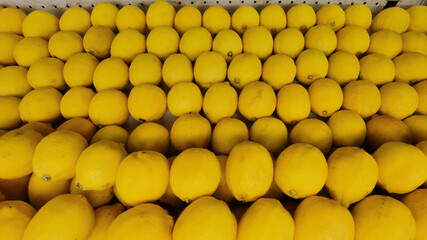 Close up of ripe yellow lemons for background 