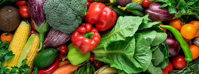 Fresh organic vegetable. Background from vegetables. Top view. Banner