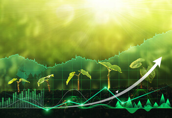 Seedling growing step in garden with sunshine and digital growth graph. Concept of global green...