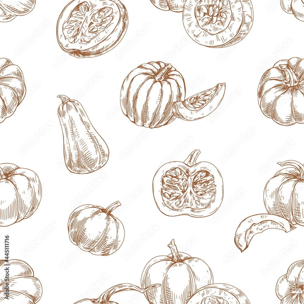 Poster seamless autumn pattern with outlined pumpkins and squashes on white background. repeating contoured