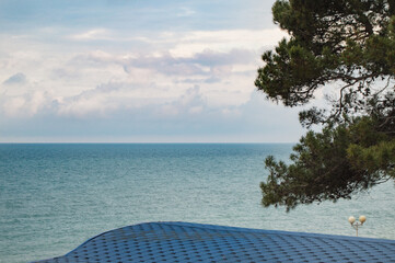 Pine branches against the background of the turquoise sea and the dawn overcast sky with clouds,...
