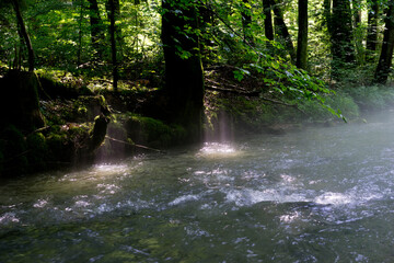 Mist rising over river at dawn.