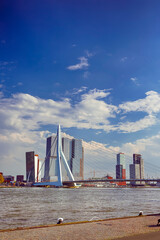Dutch Travel Concepts. Attractive View of Renowned Erasmusbrug (Swan Bridge) in  Rotterdam in front of Port and Harbour. Picture Made At Daytime.