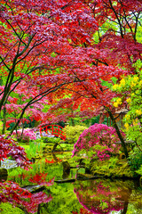 Travel Through the Netherlands. Amazing Japanese Garden with Asian Zen Sculptures and Red Maple Trees in Park Clingendael in the Hague (Den Haag) in the Netherlands Straight After the Rain.