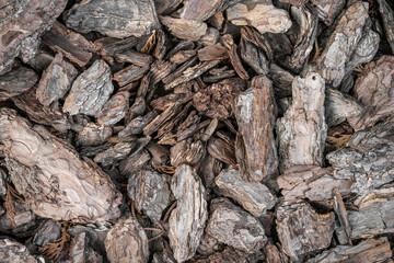 Mulching flowerbed with pine tree bark mulch as background. Heap of dry pine tree bark pieces, decorative soil for flower. Top view. Selective focus