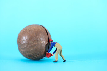 Worker cuts macadamia nuts on blue background