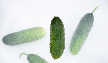 Fresh ripe cucumber flying in the air on a white background. Food levitation concept. Healthy food, ripe vegetables. Copy space