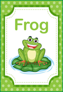 Vocabulary flashcard with word Frog