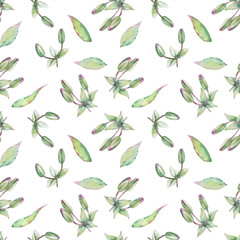 Watercolor green buds of lilies. Seamless patterns.