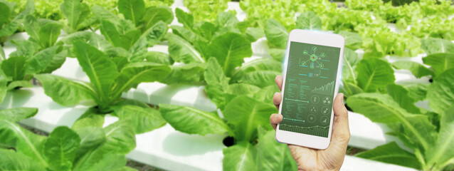 smart farmer using smartphone,farm background,concept agriculture product control with artificial intelligence or AI technology,agricultural futures market,tracking production by smart agriculture - obrazy, fototapety, plakaty