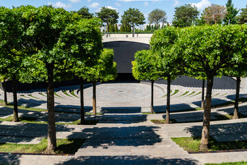 Formed oaks on terraced amphitheater in public landscape city park 