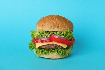 Concept of tasty food with delicious burger