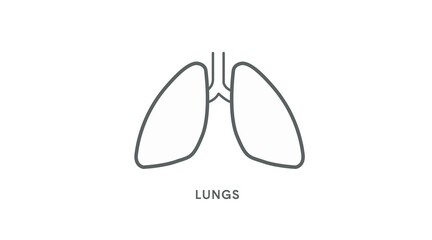 Lungs Icon. Vector isolated linear editable illustration of lungs