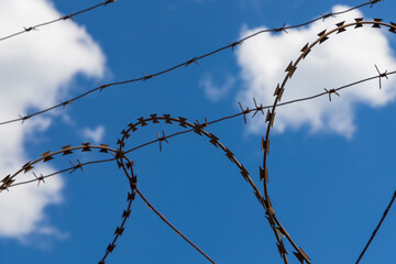 Curved razor wire is detailed against the background of the blue sky in close-up