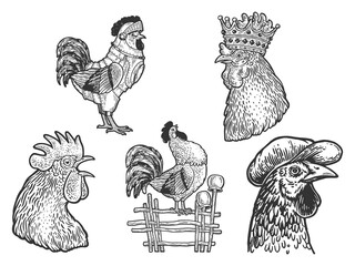 Rooster set line art sketch raster illustration © Oleksandr Pokusai