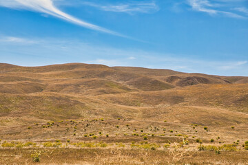 Exploring the Carrizo Plain National Monument