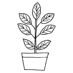 home plants, doodle, artb set dd ww