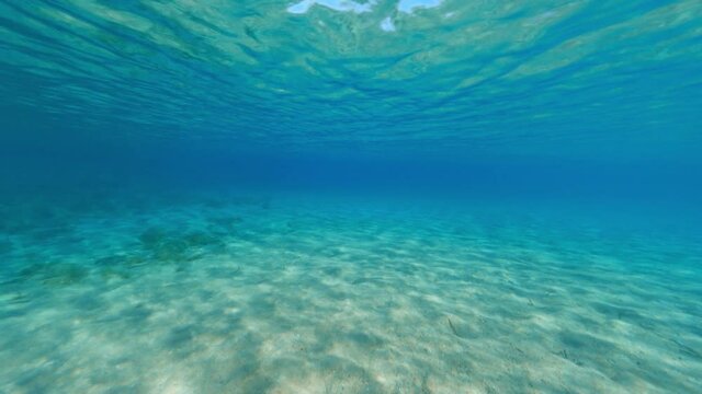 Underwater video, stunning view of a turquoise water forming a natural pattern. Caprera, La Maddalena Archipelago, Sardinia, Italy.